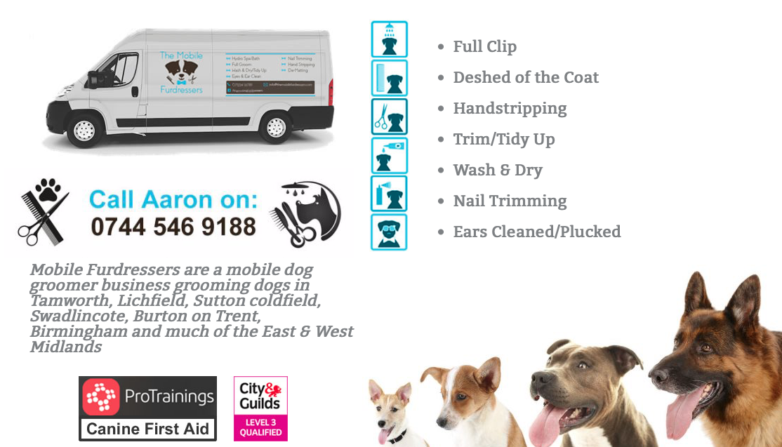 mobile pet grooming business